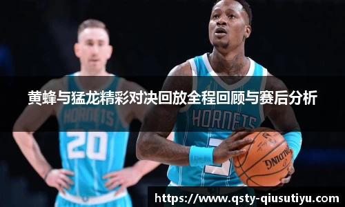 黄蜂与猛龙精彩对决回放全程回顾与赛后分析